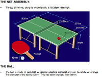 Table Tennis Rules