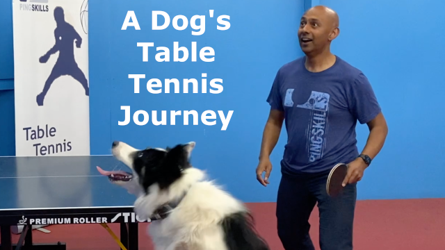 A Dog's Table Tennis Journey