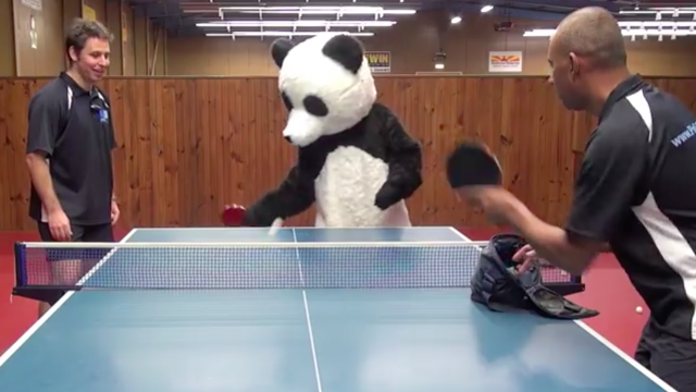 Panda Seeks Ping Pong Glory