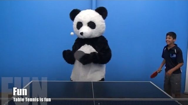 Table Tennis Is… Everything!